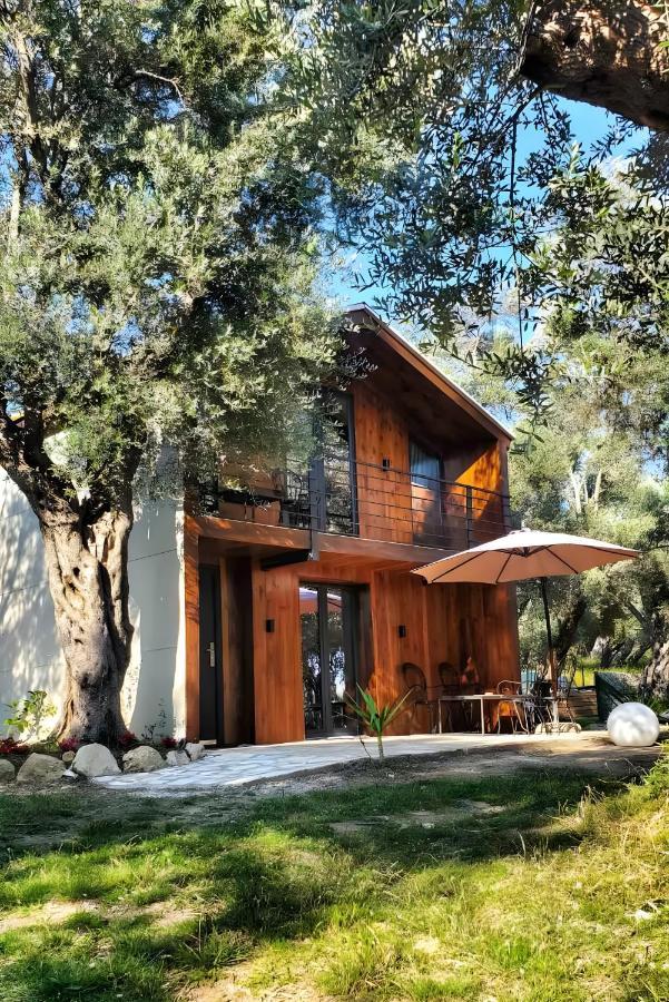 Coratina Cottage Ulcinj Zewnętrze zdjęcie