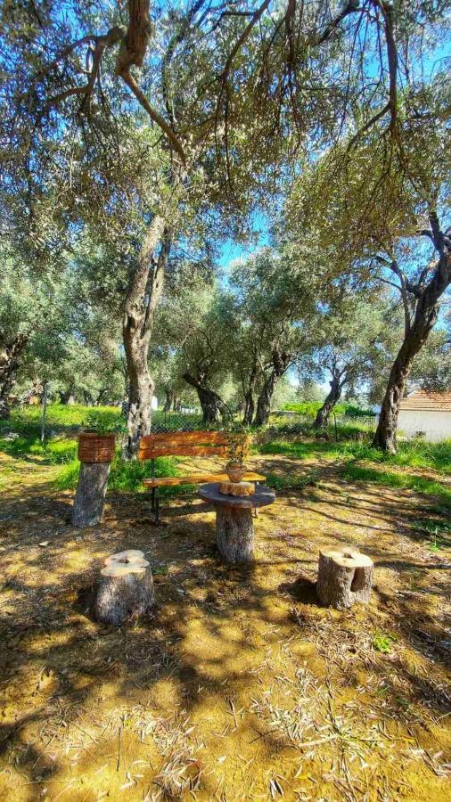 Coratina Cottage Ulcinj Zewnętrze zdjęcie